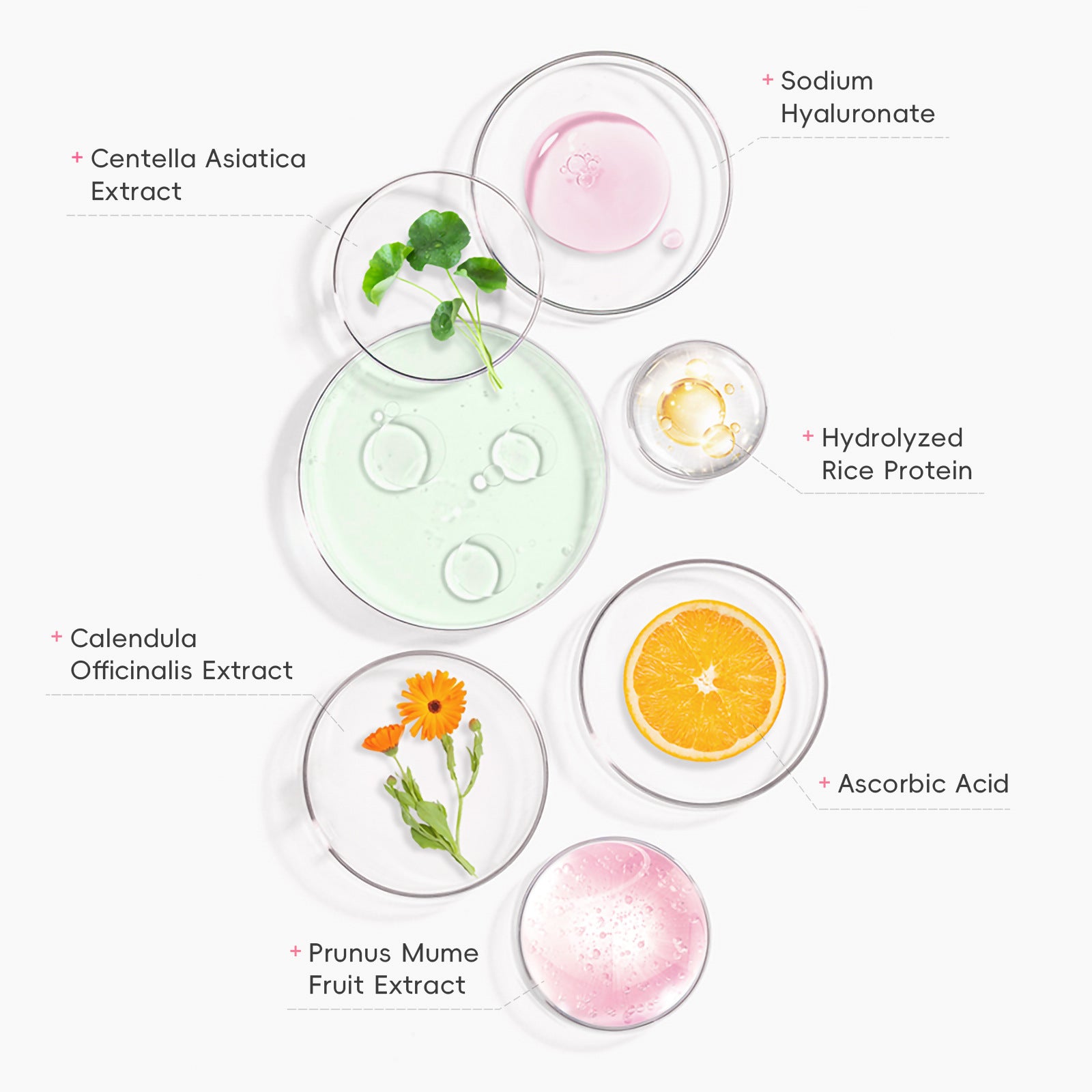 Primer Moisturizing Skin Care